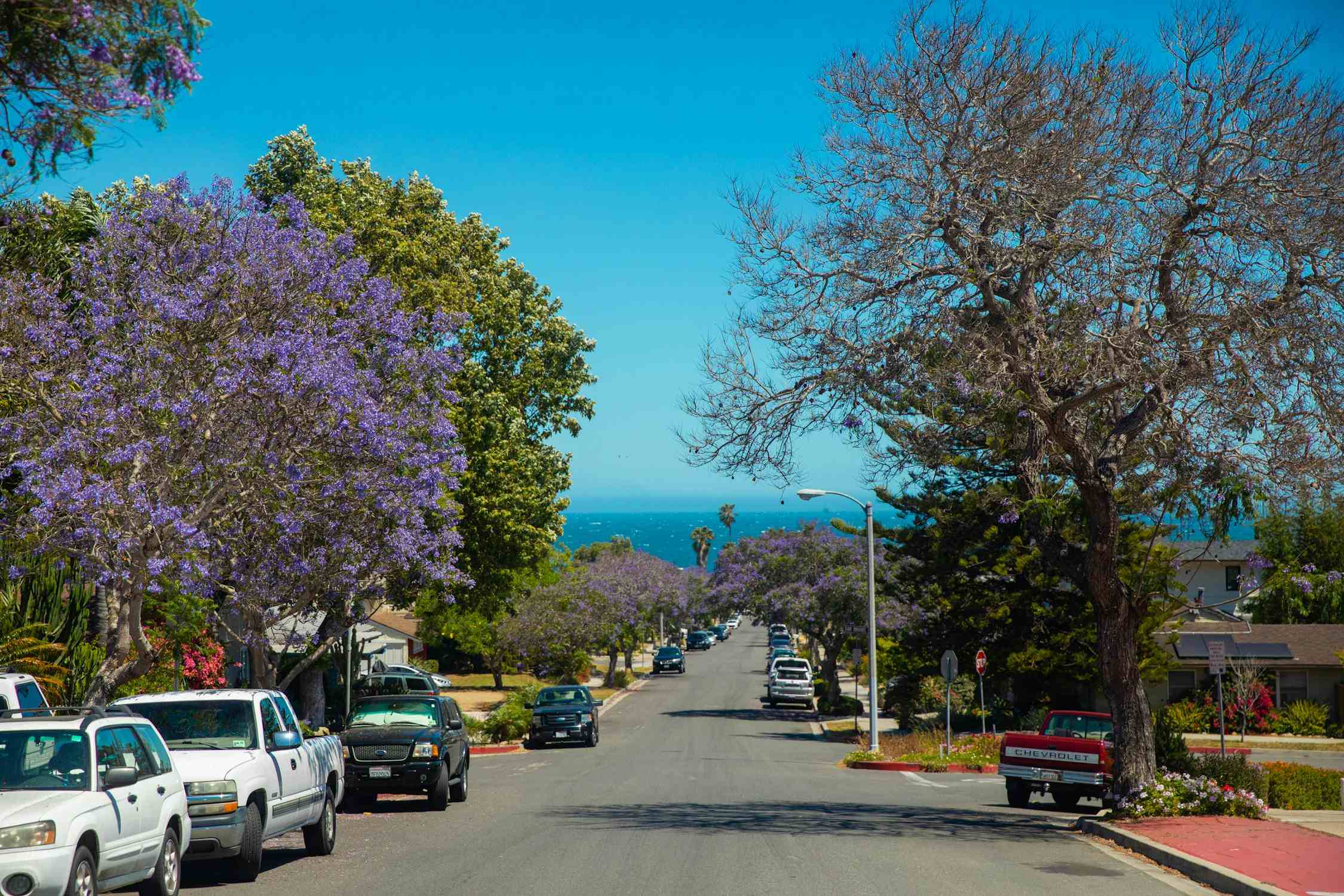 Thrifty: Your Smart Choice for Affordable and Convenient Car Rentals